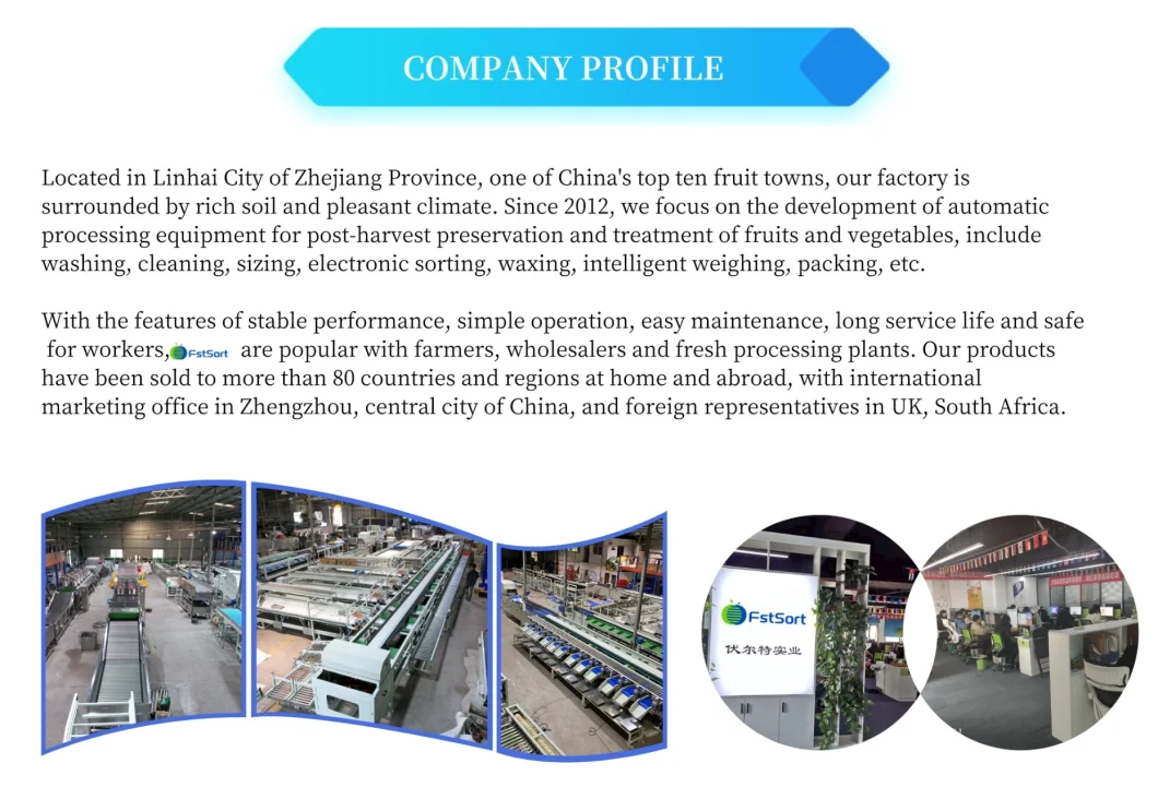 Fruit Vegetable Processing Equipment Cherry Tomato Sizing Equipment Lime Classifying Lemon Processing Equipment Manufacturer Grading Fruits Machine